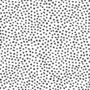 Meet your Posher, Ashlin